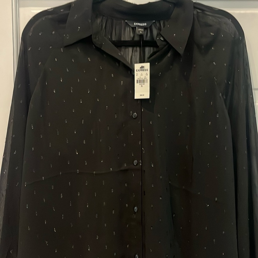 New With Tags Express Sheer Portofino Long Sleeve Blouse XL